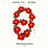 USB version