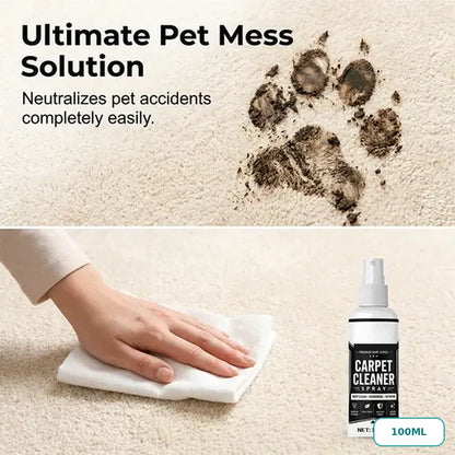 🔥LAST DAY SALE! 50% OFF!🔥No-Rinse Carpet Cleaning Spray