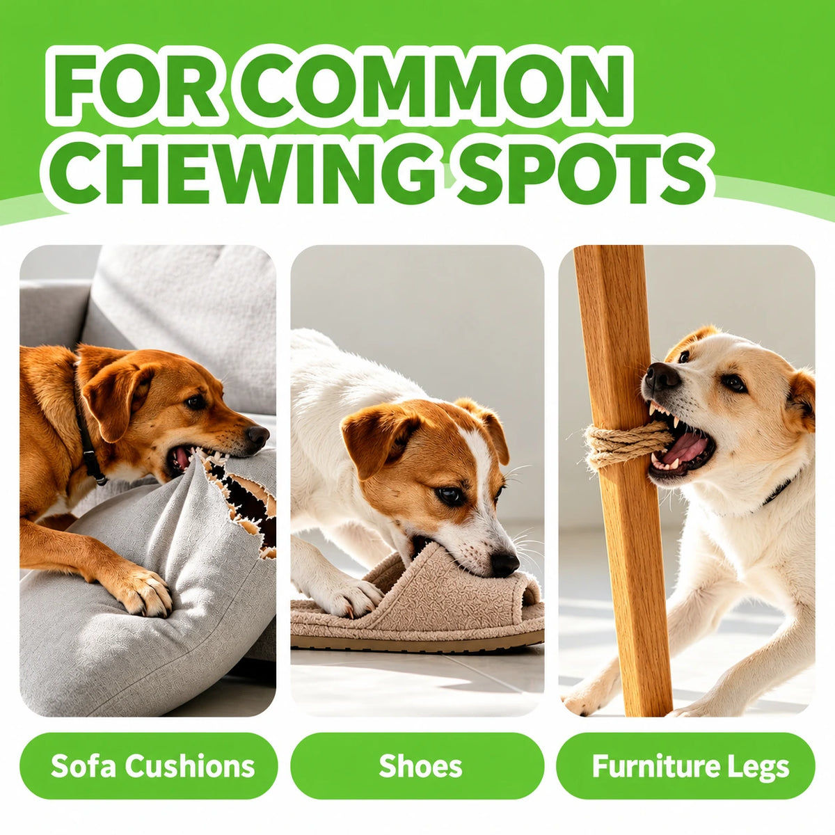 🔥LAST DAY SALE! 50% OFF!🔥Pet Bitter Spray for Chew Prevention