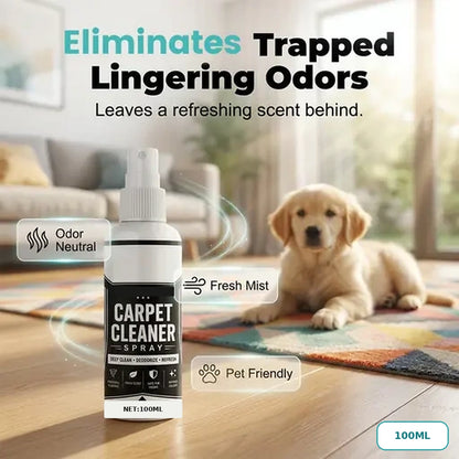 🔥LAST DAY SALE! 50% OFF!🔥No-Rinse Carpet Cleaning Spray