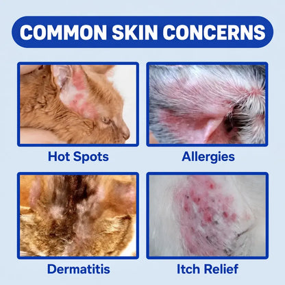 🔥LAST DAY SALE! 50% OFF!🔥 Pet Skin Care Spray – Soothe Itchy Skin, Keep Pets Comfortable | 100ml